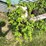 #5488-•-circle-steel-corp-grain-bin-image-8