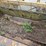 #203263-•-eversman-1000-scraper-image-4