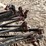 #5528-•-grain-bin-lifters-image-13