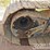 2016-caterpillar-336fl-image-19