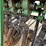 john-deere-8100-image-25