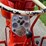 1963-allis-chalmers-d17-image-6