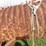 #5499-•-(2)-used-culverts-image-14