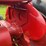 1941-farmall-av-image-50