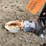 #168-•-2014-felling-ft-6-g-12'-tilt-top-trailer-(has-wi-title)-image-9