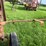 #5478-•-new-idea-pto-driven-buzz-saw-image-9