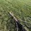 brillion-13-image-9