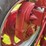 1944-farmall-hv-image-47