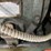 #138-•-ingersol-rand-air-compressor-image-13