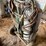 #5511-•-torch-set-on-cart-image-7