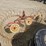 #293-•-3pt-4-wheel-rake-image-8