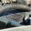 2015-wacker-neuson-rtsc-3-image-7