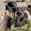 #3737-•-municipal-water-fittings-(las-cruces,-nm)-image-16