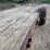 2000-car-trailer-14ft-with-2ft-beaver-image-14