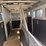 #6300-•-2014-dalton-manufacturing-adams-gooseneck-4-horse-straight-lead-aluminum-horse-trailer,-(sells-w...-image-11