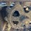 unused-future-ft13cj-excavator-image-6