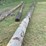 (3)-high-line-poles,-1-–-45’,-1-–-40’-and-1-–-30’,-buying-all-for-one-money-image-5