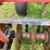 case-ih-6500-image-29