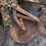 (5)-coulters-off-a-john-deere-2800-plow,-buying-all-for-one-money-image-6