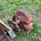 #113-•-log-deck-shaft-image-5