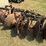 8-disc-bog-harrow-image-3