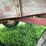 fert-wagon-image-8