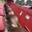 2008-case-ih-2412-image-24