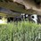 1997-caterpillar-ch85d-image-37