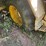 john-deere-510-image-6