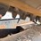 2021-bobcat-t770-image-15