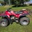 1992-honda-fourtrax-300-image-8