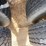 1987-kenworth-t800-image-12