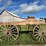 horse-drawn-buggy-image-2