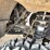2014-polaris-sportsman-570-efi-image-11
