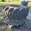 lot-of-2-loader-tires-image-4