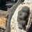 2012-bobcat-t650-image-15