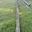 (3)-high-line-poles,-1-–-45’,-1-–-40’-and-1-–-30’,-buying-all-for-one-money-image-3