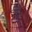 tarter-squeeze-chute-3058-image-11