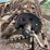 oliver-superior-8ft-grain-drill-image-77
