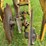 2015-ets-soil-warrior-image-14
