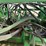 john-deere-1900-image-58