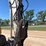 2017-takeuchi-tb290-image-21