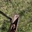 new-holland-259-image-10