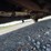 2004-ford-f250-image-12