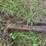 (2)-oliver-widefront-ends-image-14
