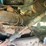 #280-•-#24138-•-inop-1971-ford-t/a-single-cab-auger-truck-n80fvl70713-image-19