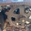 unused-future-ft13j-excavator-image-6