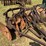 8-disc-bog-harrow-image-2