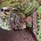 massey-harris-rear-end-image-22