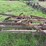 moline-5-bottom-14”-pull-type-plow-image-26